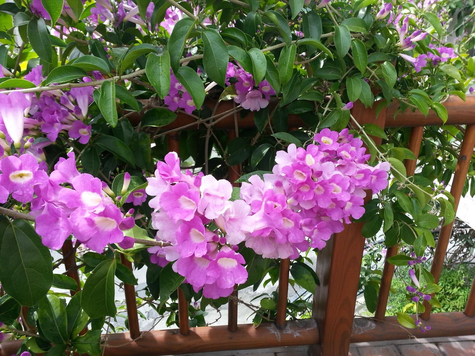 Melody Homestay Hualien stad Exteriör bild
